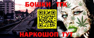 стафф Шелехов
