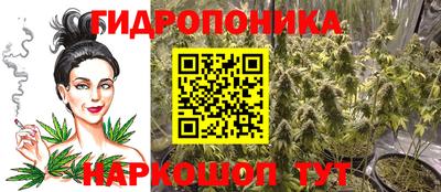 стафф Шелехов