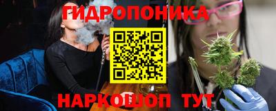 стафф Шелехов