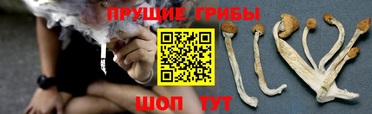 Псилоцибиновые грибы MAGIC MUSHROOMS Искитим