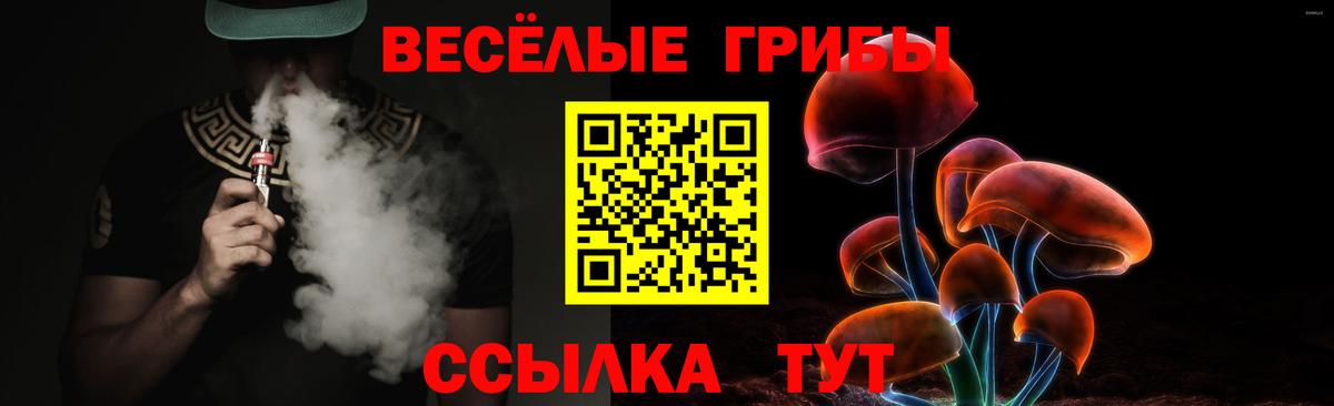 наркотики  Псилоцибиновые грибы прущие грибы  Вход с VPN  Искитим 